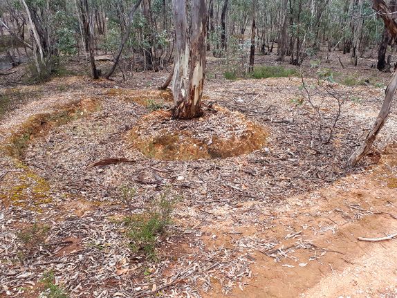 Puddling machines of the Victorian Goldfields