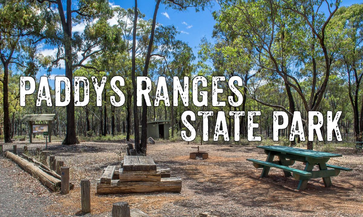 Paddys ranges cover 