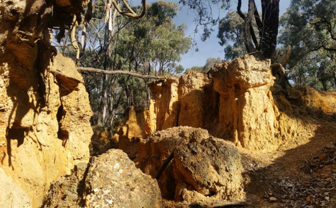 Dead Dog Gully Alluvial Gold Workings Goldfields Guide