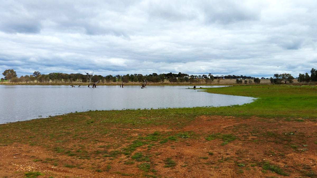 Picnic Point Rd Boat Ramp Cairn Curran Goldfields Guide