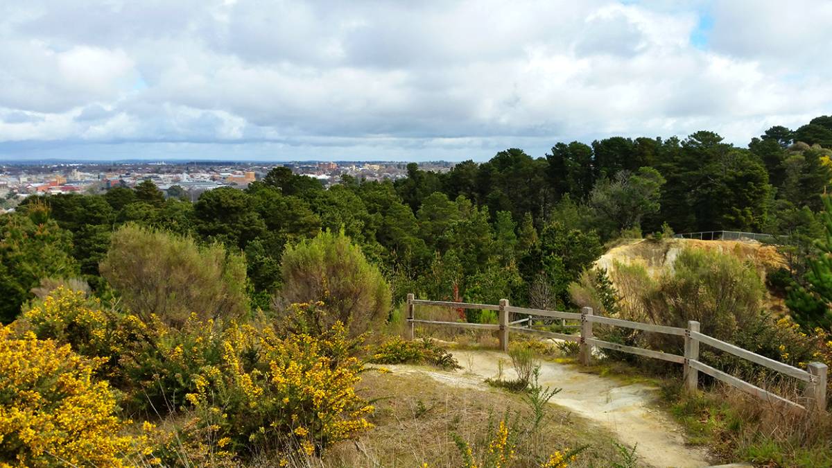 Black Hill Reserve Goldfields Guide