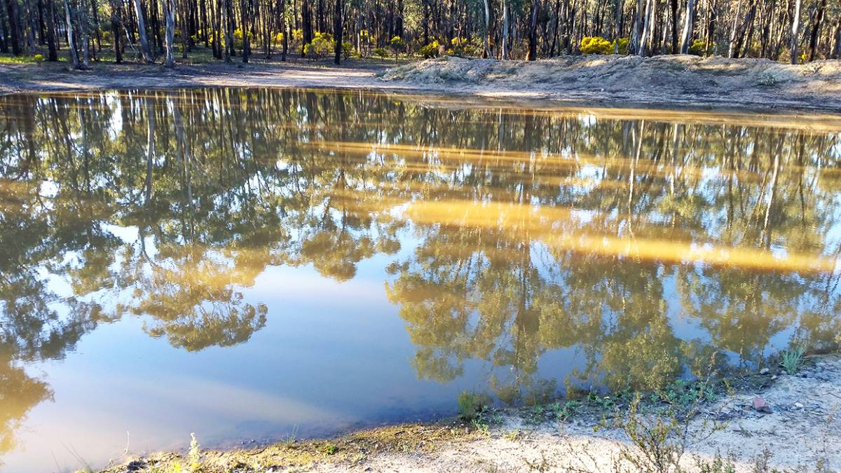 Black Rock Road Camping Area and Relics Goldfields Guide