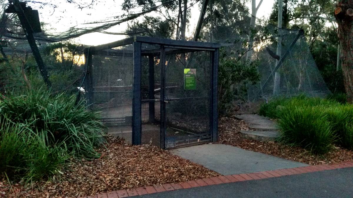 View of Bendigo Botanic Garden Bird Aviary | Goldfields Guide
