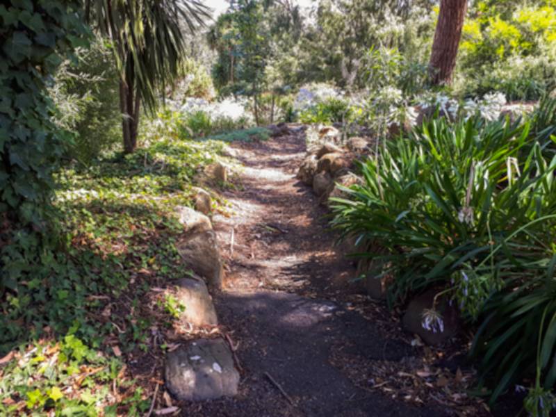 Alexandra Gardens Goldfields Guide