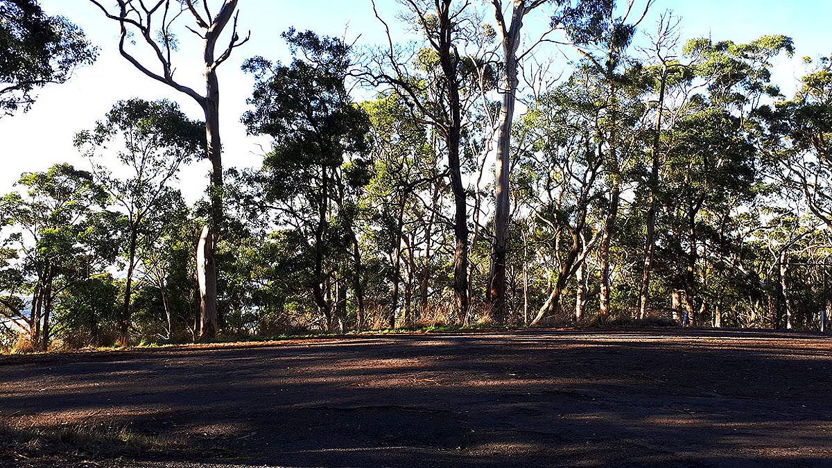 Mount Warrenheip Nature Conservation Reserve Goldfields Guide