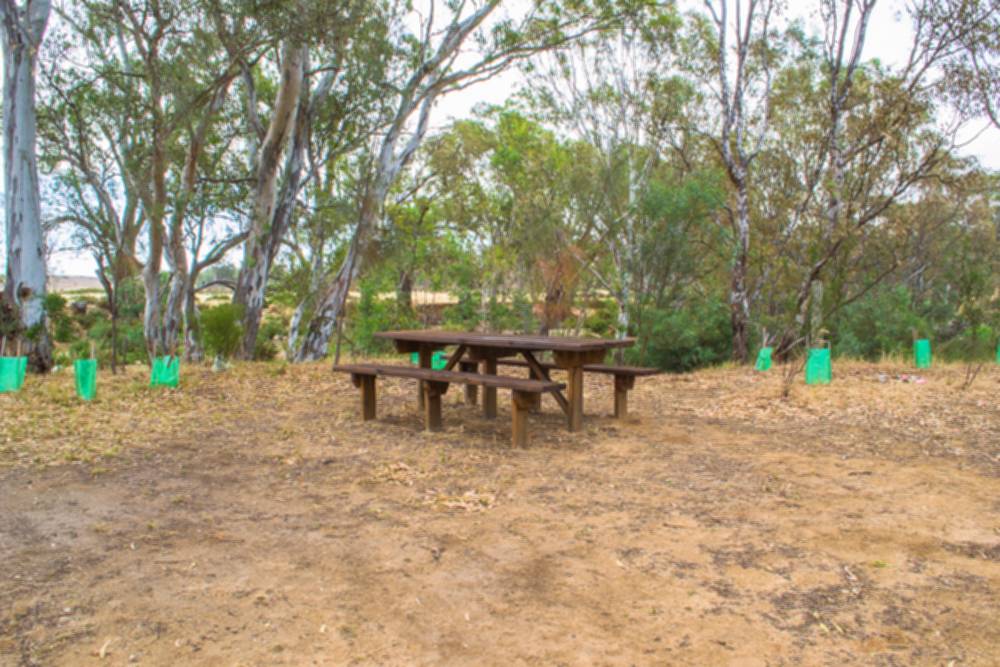 O'Sullivan Tilley Memorial Park Goldfields Guide