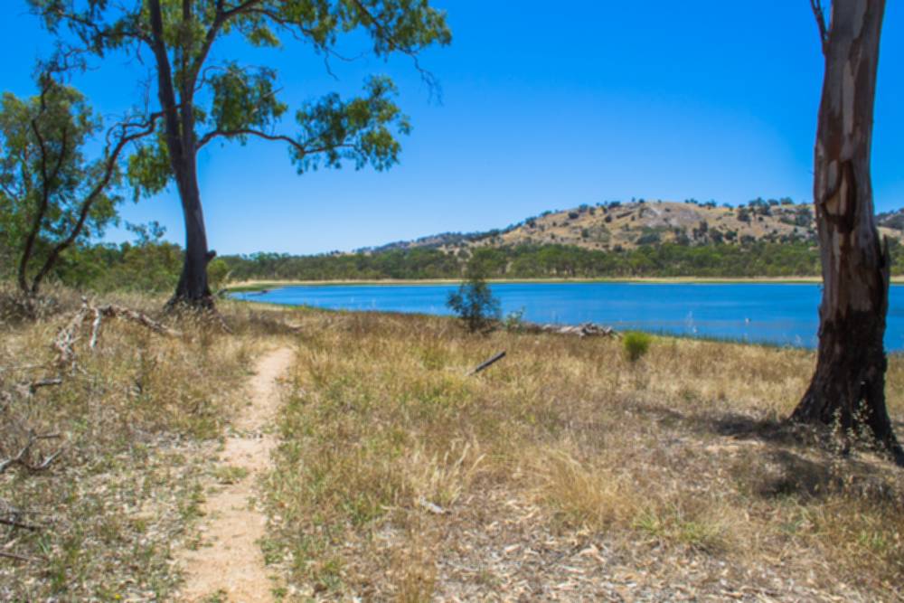 Barkers Creek Reservoir Goldfields Guide