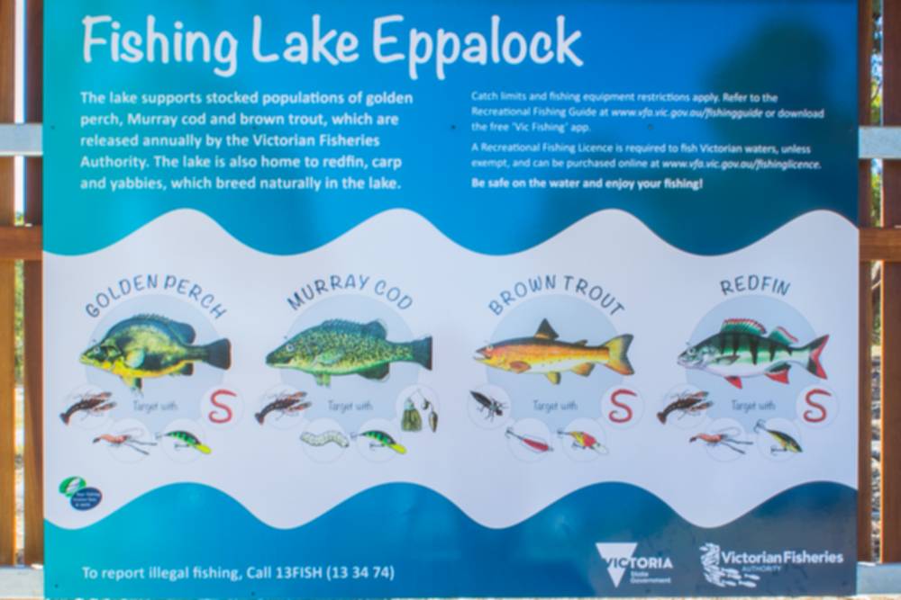 Lake Eppalock Kimbolton Recreation Area Goldfields Guide