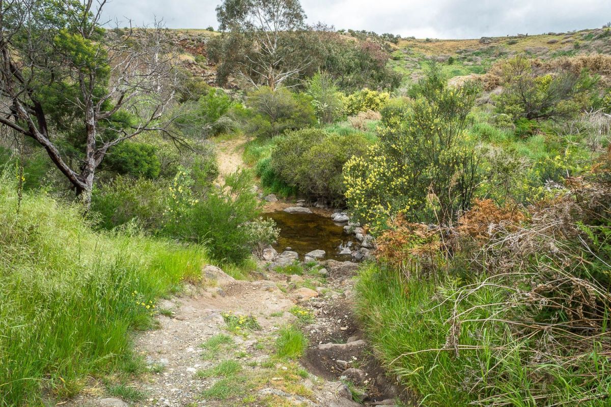 Gold prospecting guide for Ballarat Victoria