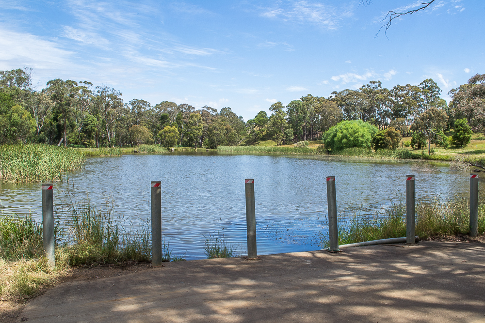 20201216 dsc 2830 