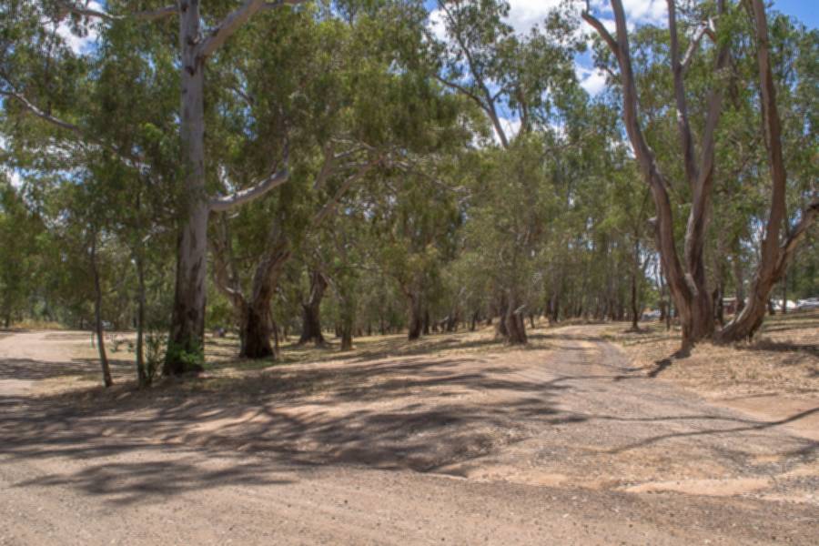 Happy Jacks Reserve Goldfields Guide
