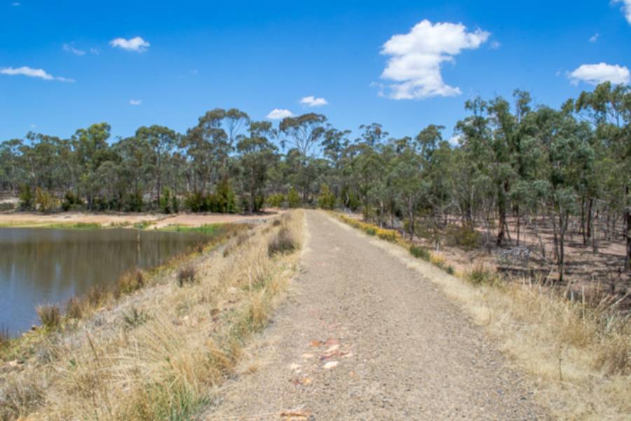 Bullock Campground Goldfields Guide