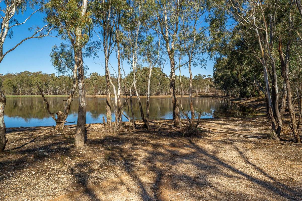 Nuggety Gully Reservoir Goldfields Guide
