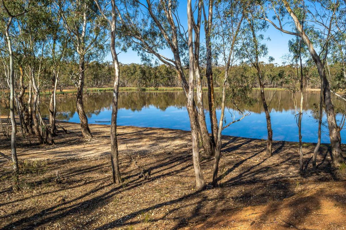 Nuggety Gully Reservoir Goldfields Guide