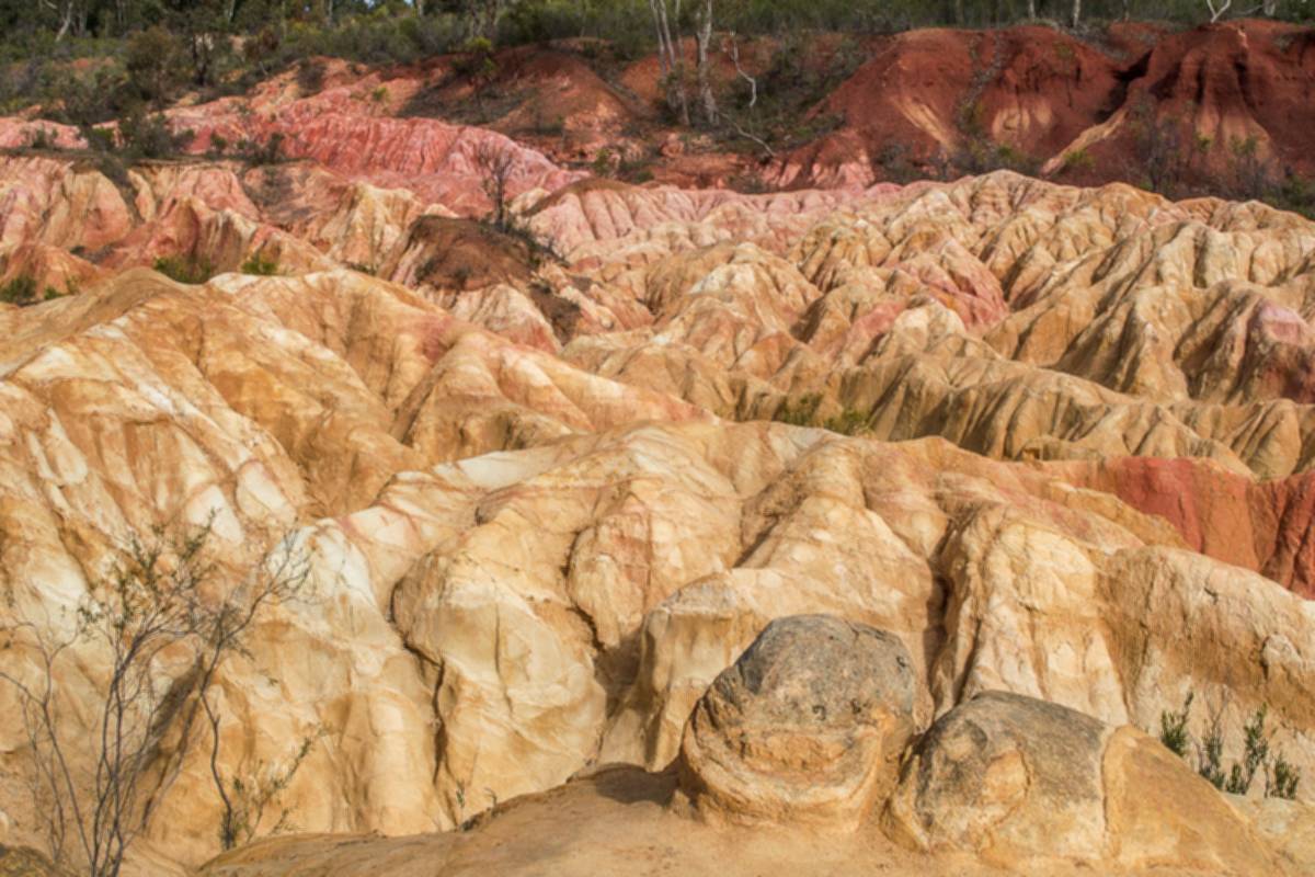Pink Cliffs Geological Reserve Goldfields Guide