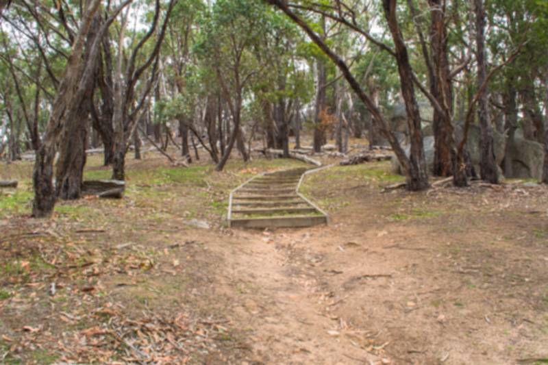 West Ridge Walking Track Goldfields Guide