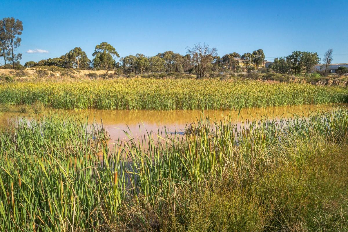White Hills Sediments Geological Reserve Goldfields Guide