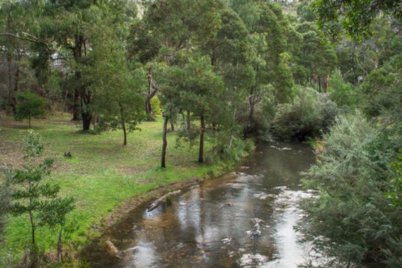 Blackwood Mineral Springs Reserve Goldfields Guide