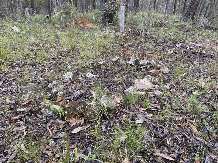 D8da3a8e 31ff 46dd ac42 d30fa2f407fe 