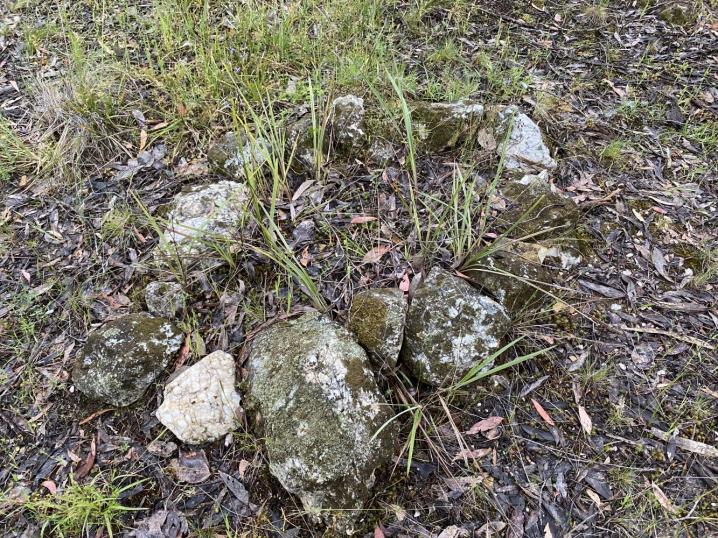 6424d99f d814 491b 883a 3dfb9ef42711 