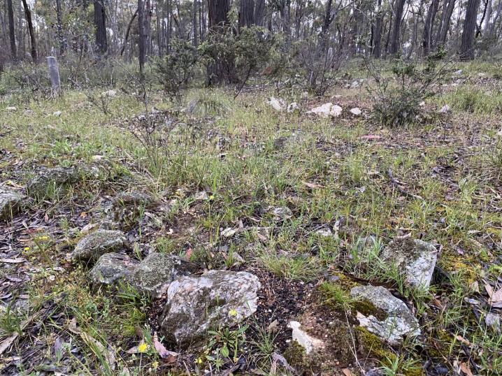 63deb93e fb3b 4f37 a14b 823411e287c0 