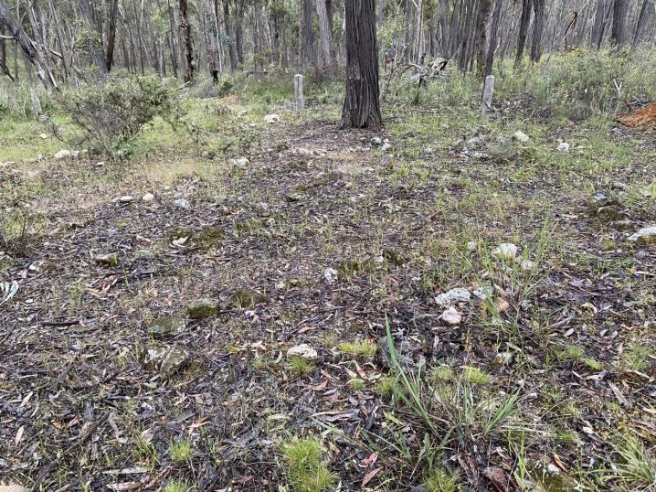 Fd13af46 9672 4a3c ba9e 6df76571437b 