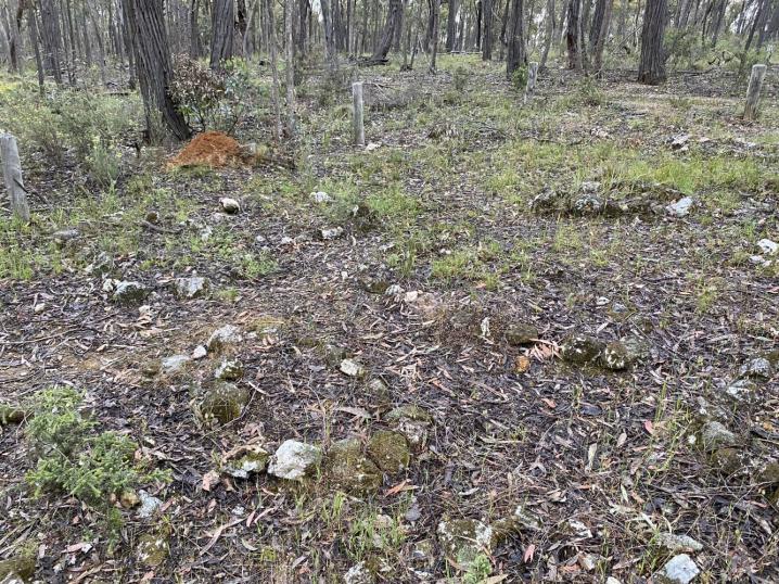 Dd8f6695 019a 427a b30e ab81bc1de6bd 