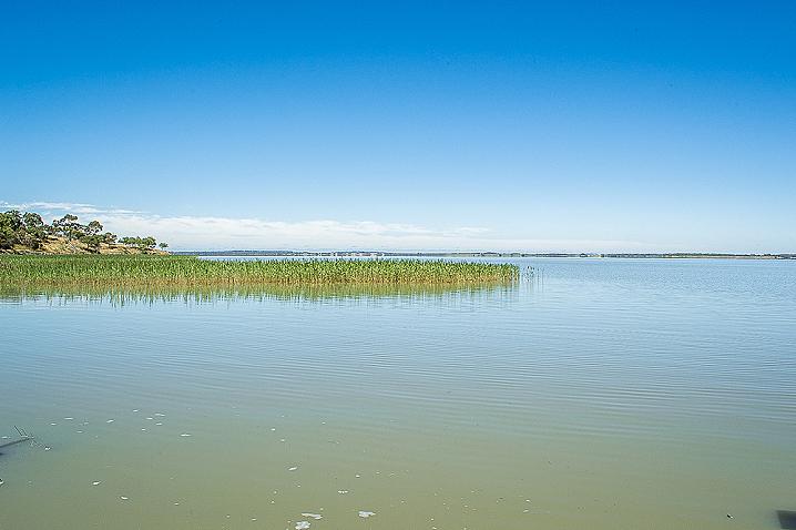20201209 dsc 2427 