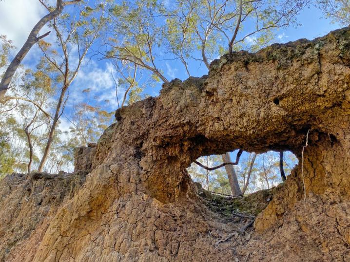 432b6588 1a1a 4070 932a becd1f7f0773 