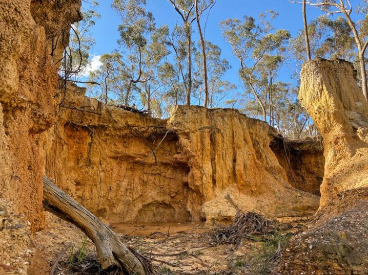 A79c2387 d36a 4486 aa48 b08c041de453 