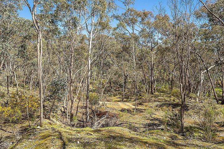 20210926 dsc 5841 