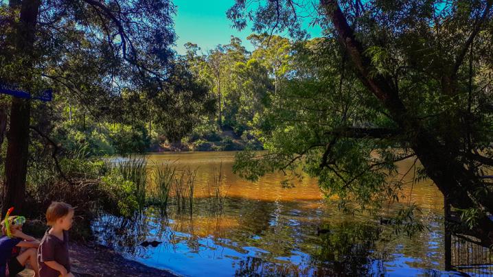 20190101 20190101 172208 