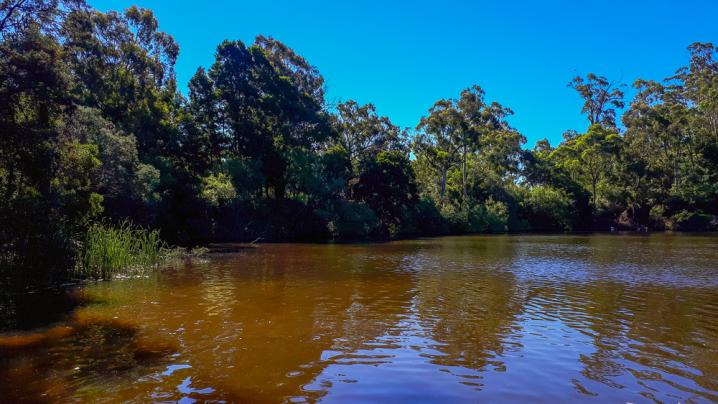 20190101 20190101 172336 