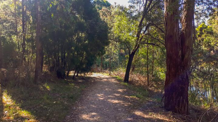 20190101 20190101 172430 