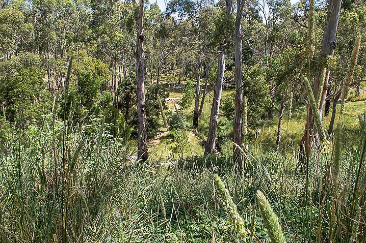 20201216 dsc 2894 