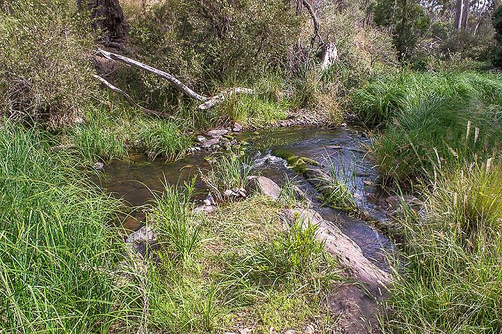 20201216 dsc 2920 