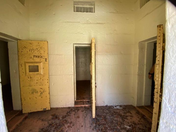 265583356 7401805186512167 7055753481601898405 n 