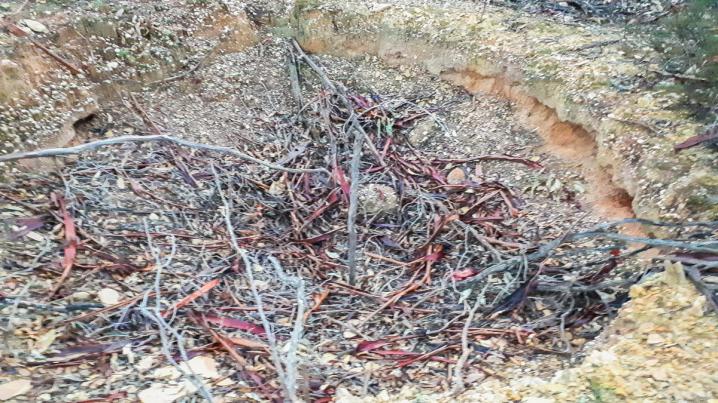 20180528 20180528 172017 