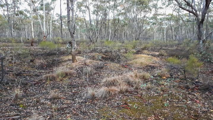 20180528 20180528 172024 