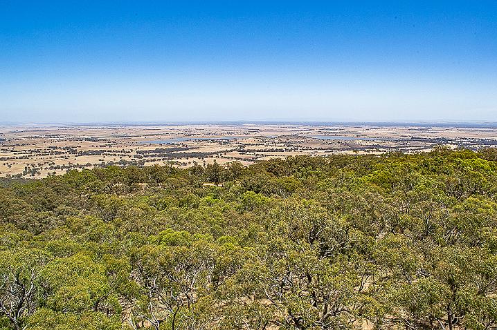 20201210 dsc 2560 