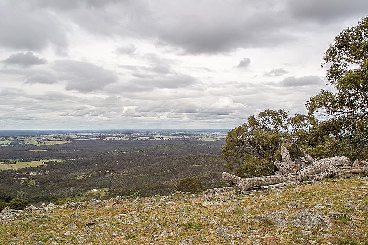 20200924 dsc 2249 