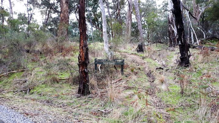 20180624 130018 copy 