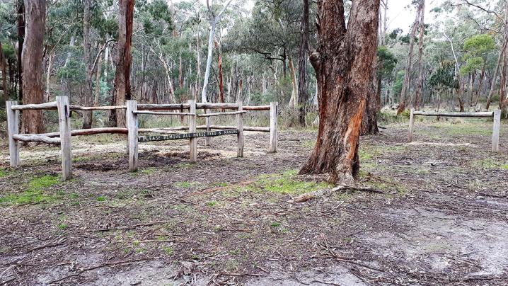 20180624 130558 copy 