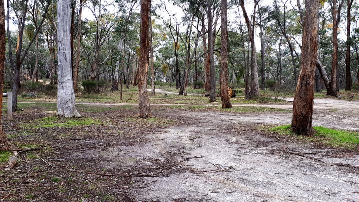 20180624 130621 copy 