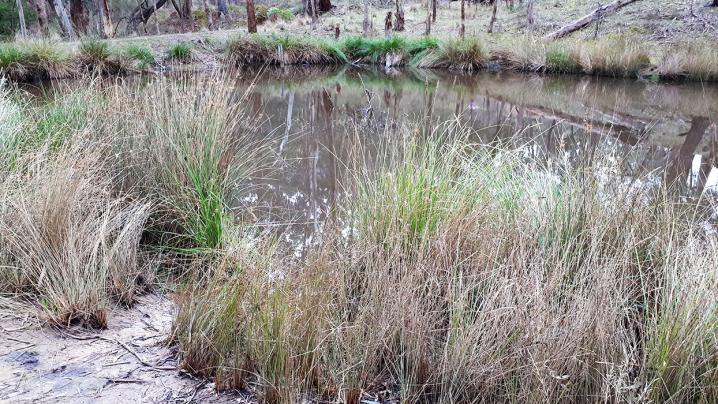 20180624 130704 copy 