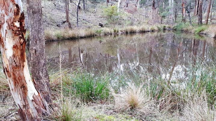 20180624 130733 copy 