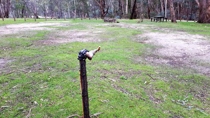 20180624 130855 copy 