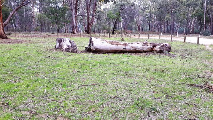 20180624 130937 copy 