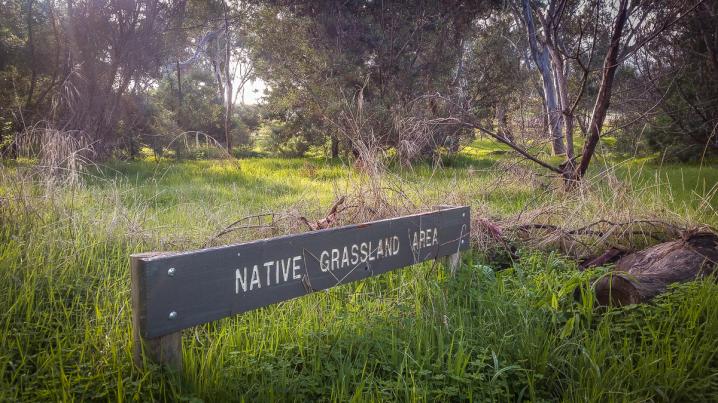 20170528 20170528 145612 