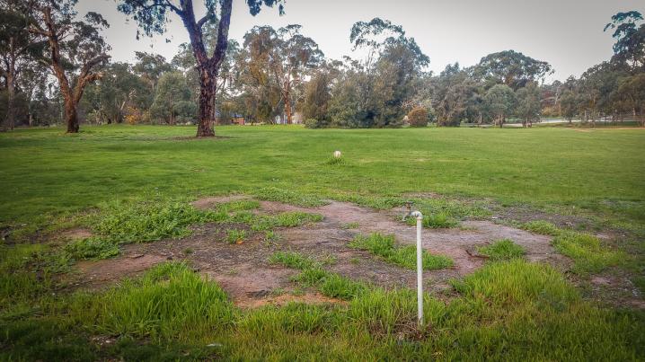 20170528 20170528 145856 